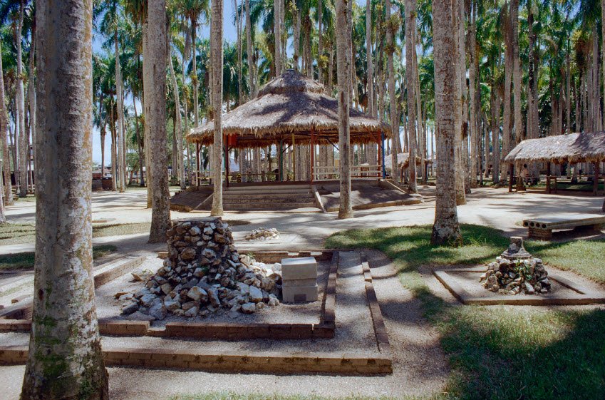 Palmtree Garden, Paramaribo, Suriname